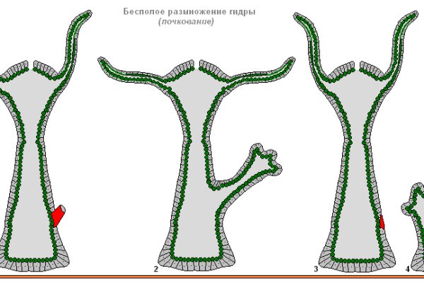 Кракен площадка что это