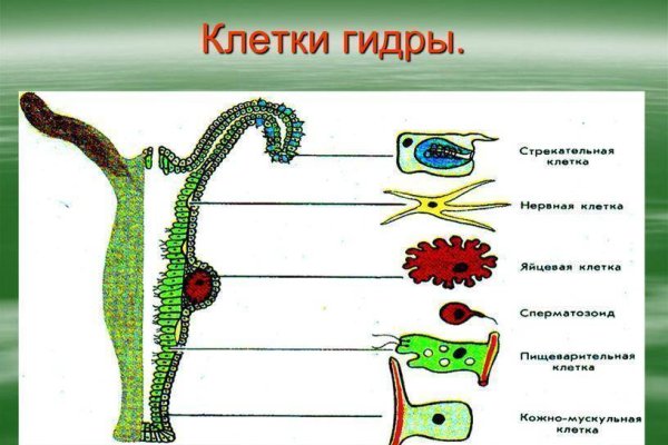 Ссылка кракен даркнет маркет