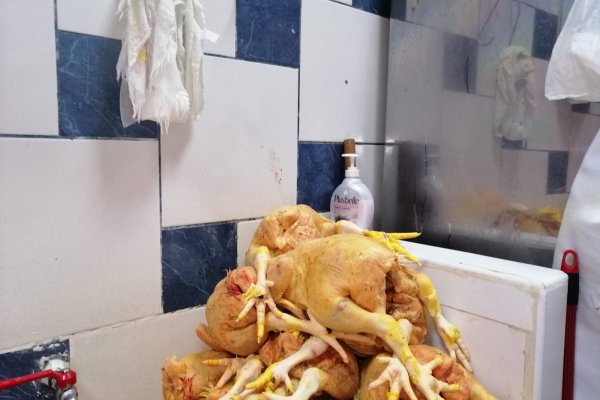 Какой нужен тор чтоб зайти в кракен
